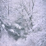 Berkshire Landscapes by Scott Barrow 0101 150x150 Berkshire Landscapes