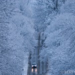 Berkshire Landscapes by Scott Barrow 0121 150x150 Berkshire Landscapes