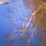 Berkshire Landscapes by Scott Barrow 0131 150x150 Berkshire Landscapes