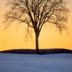Berkshire Landscapes by Scott Barrow 0151 150x150 Berkshire Landscapes
