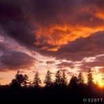 Berkshire Landscapes by Scott Barrow 0231 150x150 Berkshire Landscapes