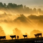 Berkshire Landscapes by Scott Barrow 0281 150x150 Berkshire Landscapes