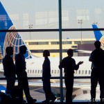 Wings_015