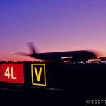 Wings_028